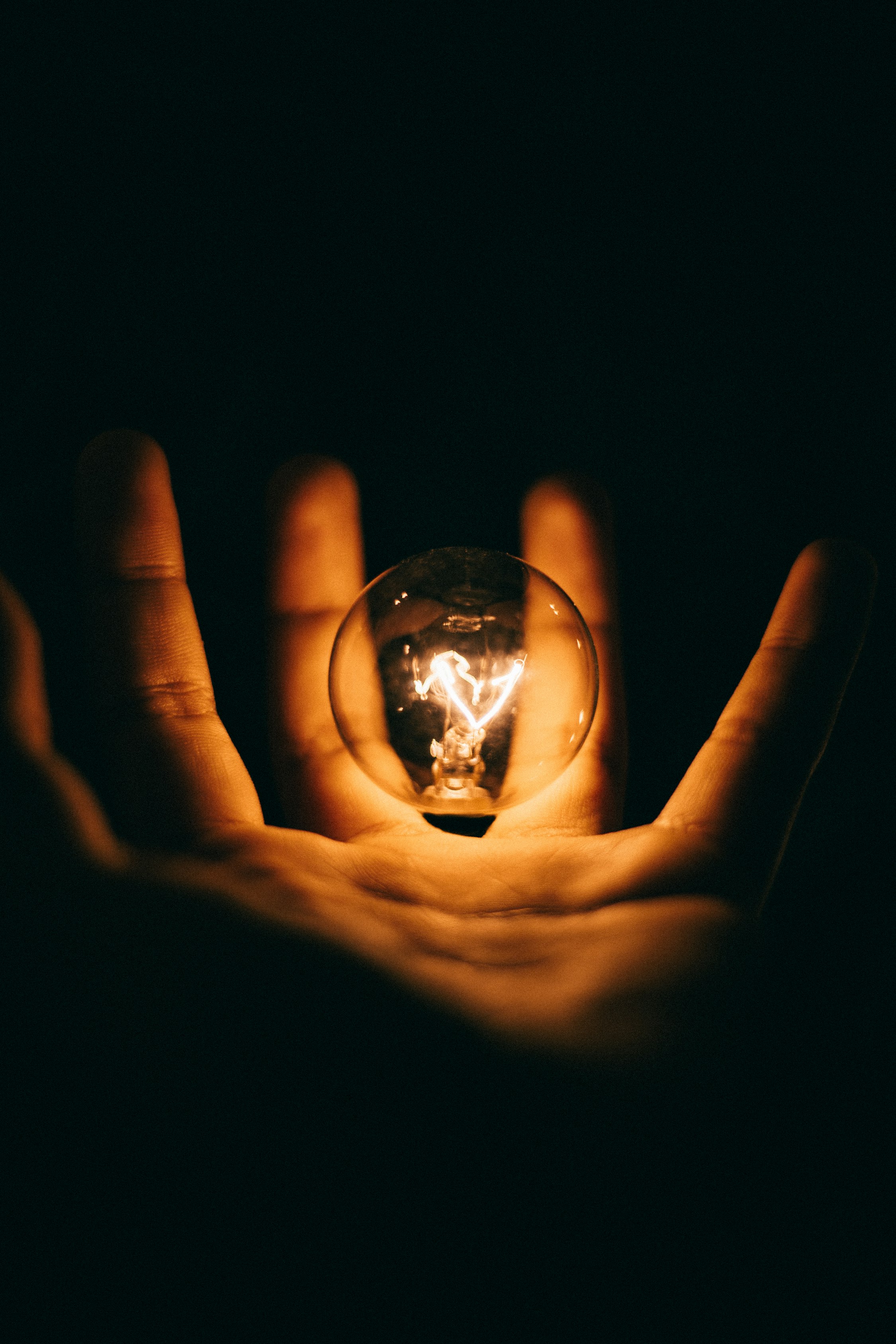 Innovation Focus
